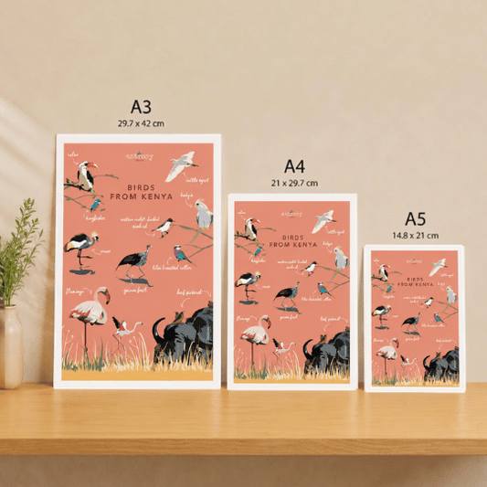 Poster birds of Kenya