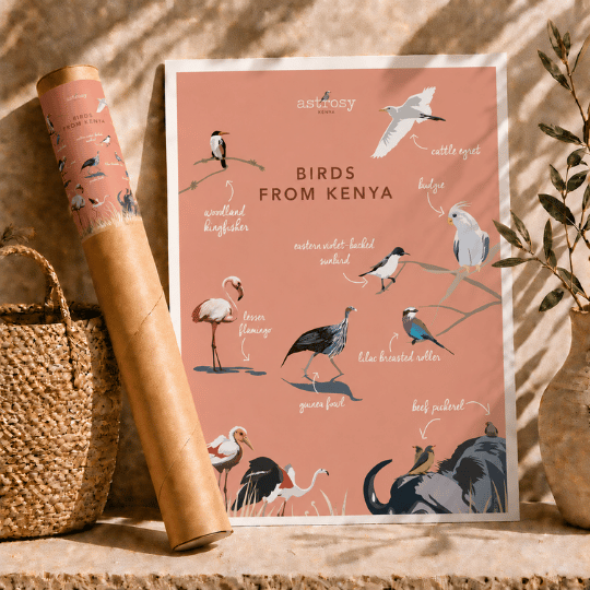 Poster birds of Kenya